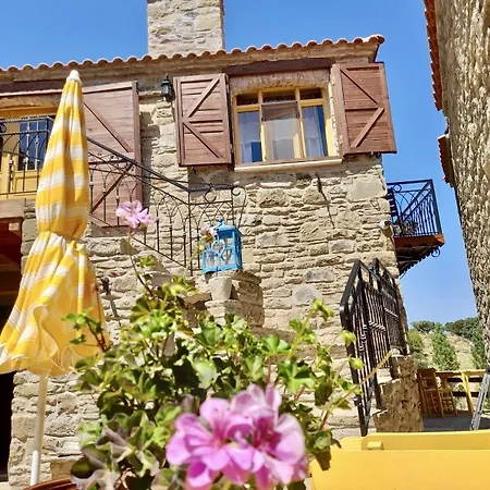 Sari Keci Tas İmroz