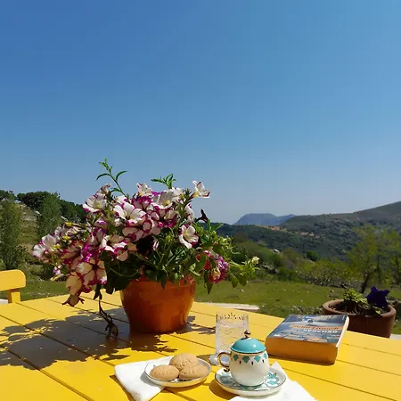 Sari Keci Tas İmroz